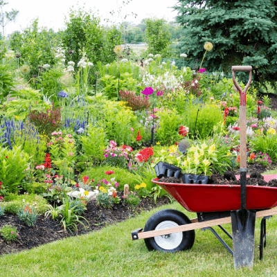 Spring Cleanup